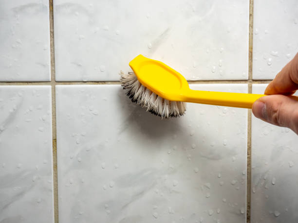 Best Preventive Mold Services in Forest, OH
