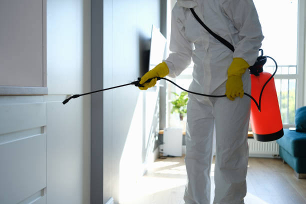 Best Attic Mold Remediation in Forest, OH